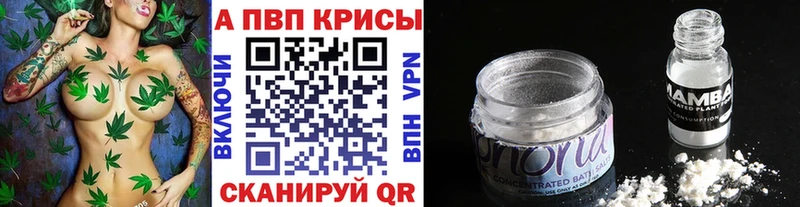 А ПВП СК  Альметьевск 