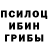 Псилоцибиновые грибы Magic Shrooms Dok NRG